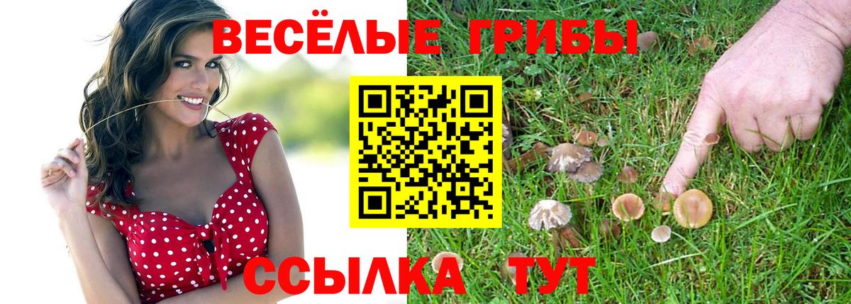 Кувандык  Псилоцибиновые грибы Cubensis  Вход с VPN 