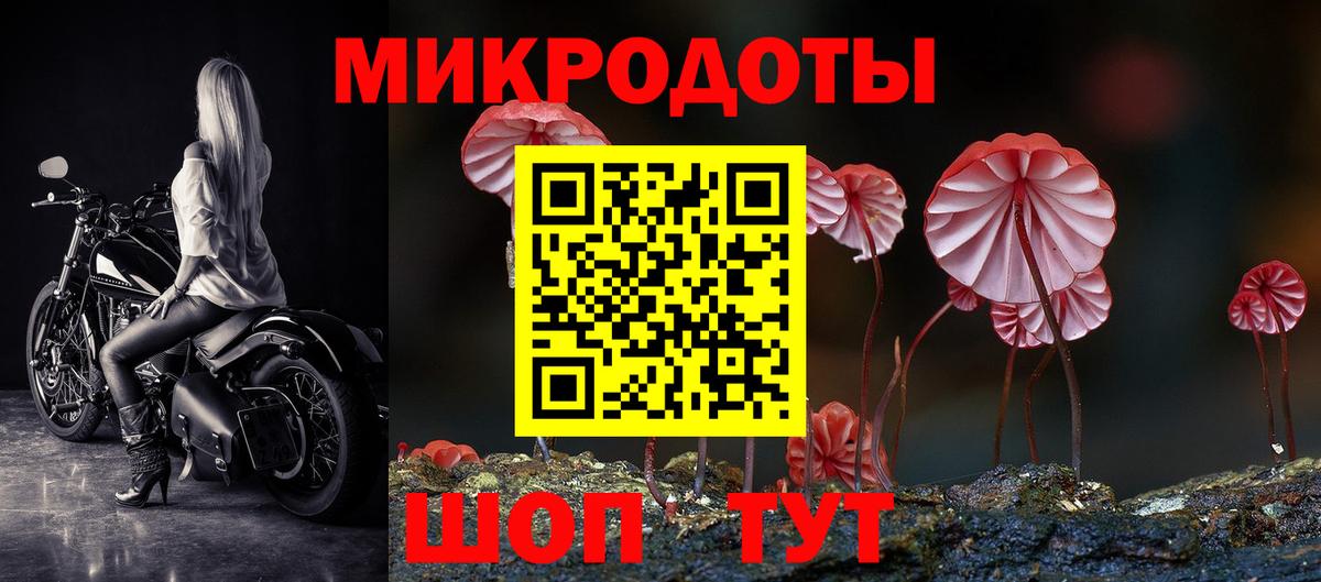 Псилоцибиновые грибы Cubensis Кувандык